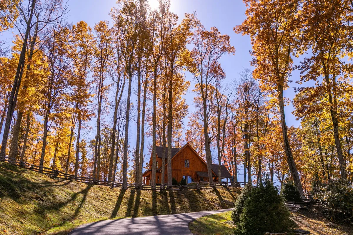 A rustic wooden house nestled among tall, colorful autumn trees with a winding driveway leading up through the forest. The scene radiates tranquility and showcases the beauty of the surrounding nature, perfect for hikes, exploration, and appreciating seasonal changes, especially in fall.